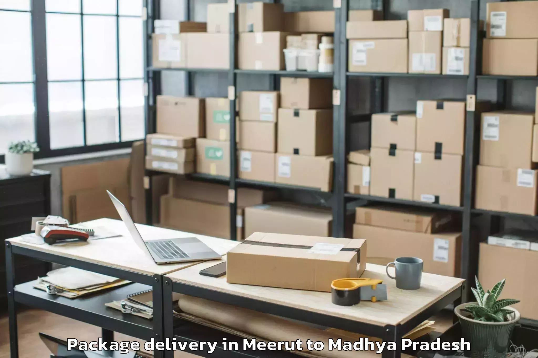 Professional Meerut to Nagod Package Delivery